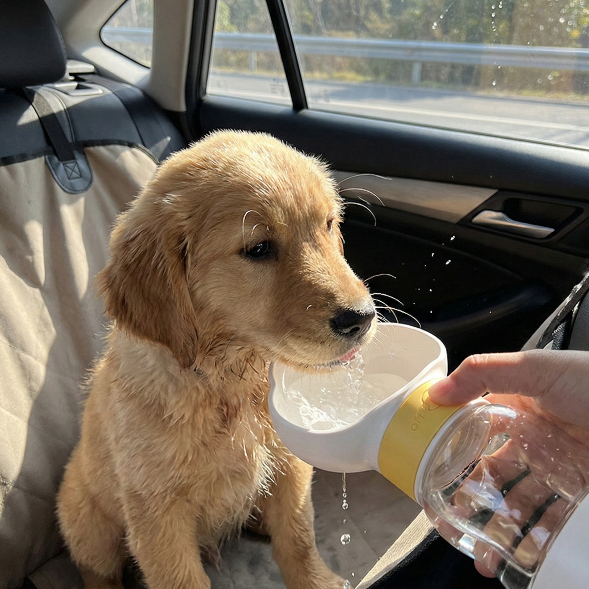 Noola™ – Dispenser Portatile 2-in-1 Acqua + Snack per Cani e Gatti